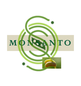 Seed wars: OSSI vs goliath Monsanto